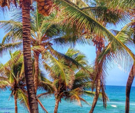 Beautiful Beach