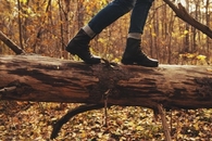 Autumn walk