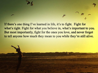 Fight