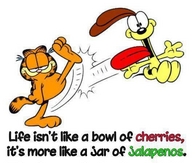 life isnt a bowl of cherries
