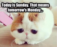 tomorrow is monday
