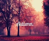 Autumn