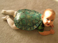 Turtle toddler