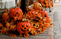 Pumpkin patch decor