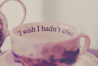 I wish i hadnt cried