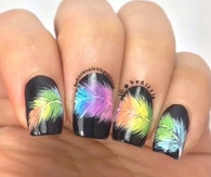 Colored feathered nails