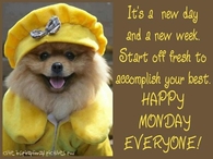 Happy Monday Everyone