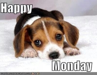 Happy Monday