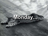Monday 