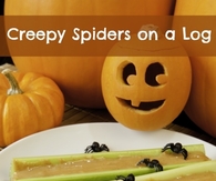 Spiders on a log