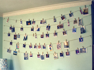 Photo Lines