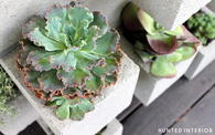 Concrete block planter