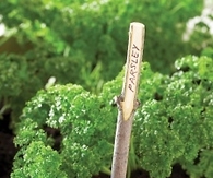 Twig Plant Markers