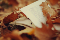 Autumn leaves