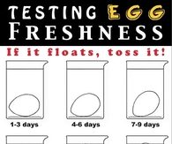 Testing Egg Freshness
