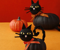 DIY Cat Pumpkins