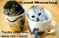 Good Morning Tuesday