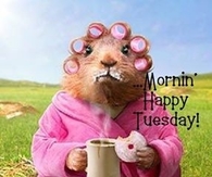 Morning Happy Tuesday