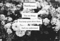 Wallflower
