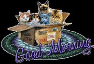 Good Morning