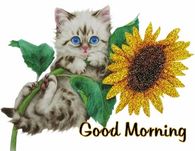 Good Morning