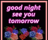 Good night see you tomorrow
