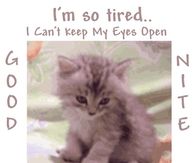 I'm so tired - Good Night