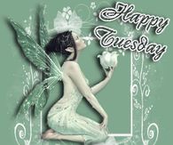 Happy Tuesday