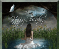 Happy Tuesday