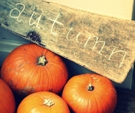 Autumn pumpkins