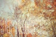 September leaves