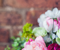 Pink flower