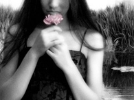 pink flower