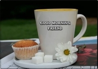 Good Morning Friends