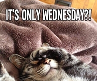 Its only Wednesday