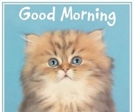 Good Morning
