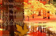 Wishing you a bright and beautiful Autumn