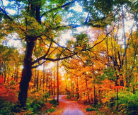 Beautiful Autumn Day