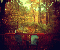 Autumn Beauty