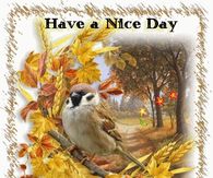 Have a nice day