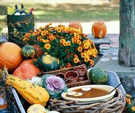 Fall Bounty