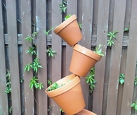 Tipsy Tower Herb Garden