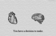 You have a decision to make