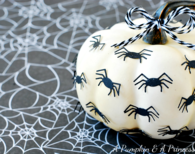 Halloween Spider Pumpkin