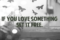 If you love something