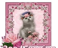 Good Evening
