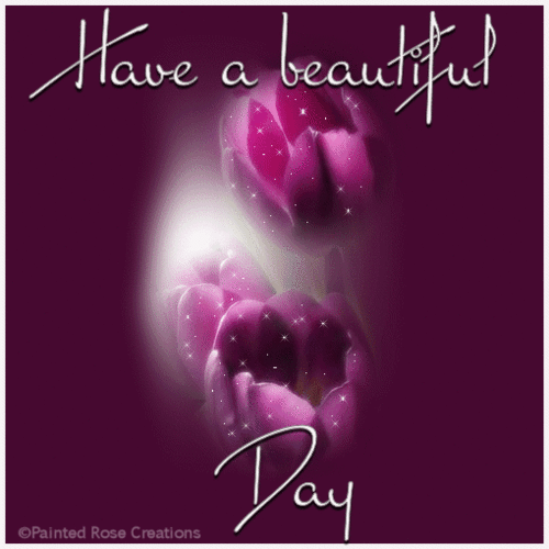 Have a beautiful day