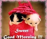 Sweet Good Morning