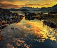 Reflections