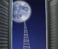 To your dreams